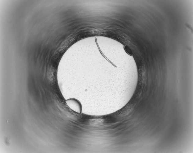 X0000100190266200806271625
