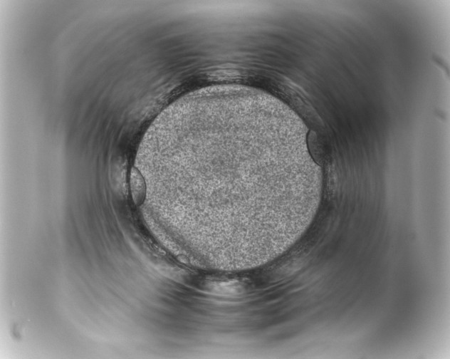 X0000100190267200806271626