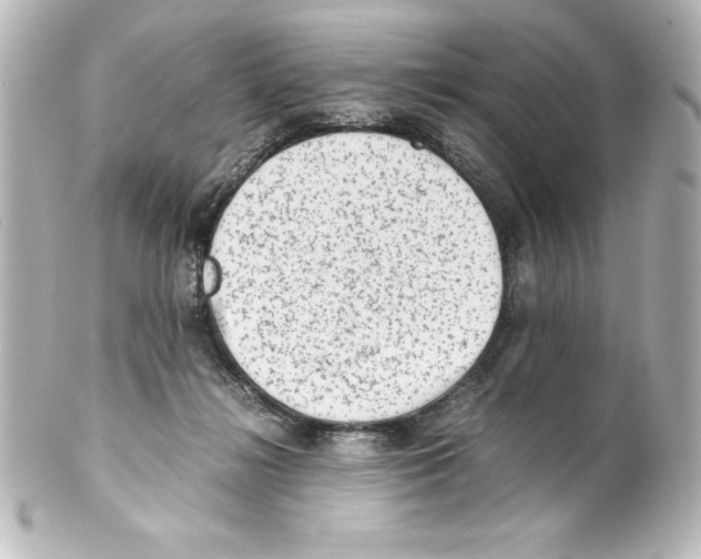 X0000100190268200806271626