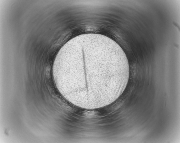 X0000100190269200806271626