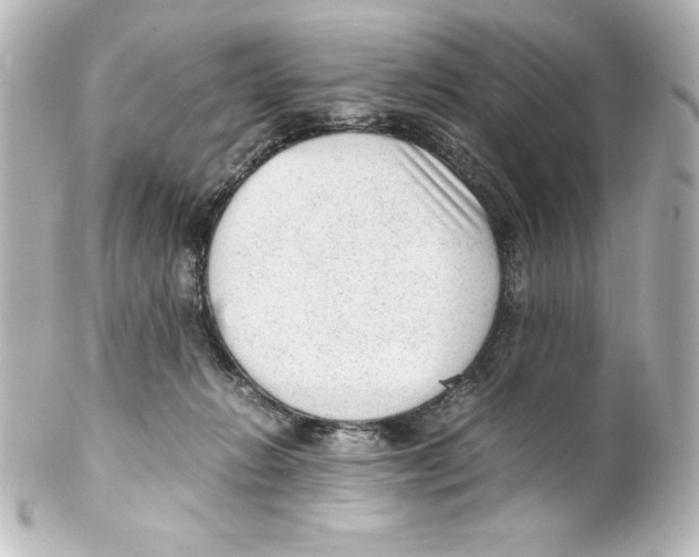 X0000100190270200806271626