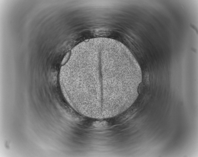 X0000100190271200806271626