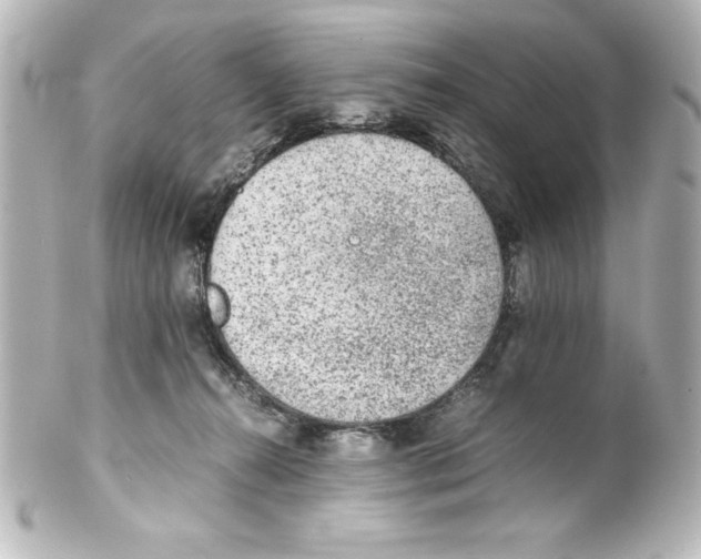 X0000100190272200806271626