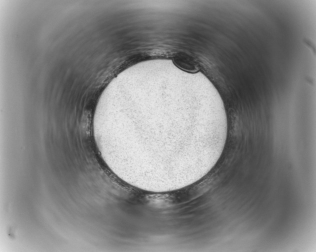 X0000100190273200806271626