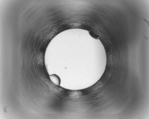 X0000100190274200806271626