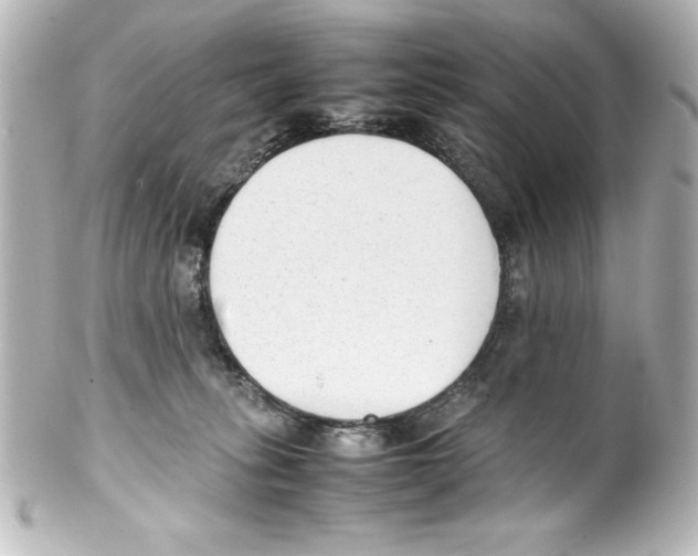 X0000100190275200806271626