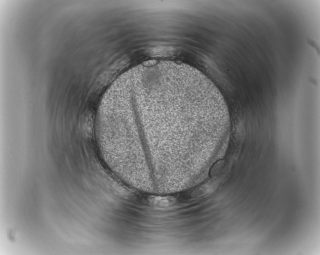 X0000100190277200806271626
