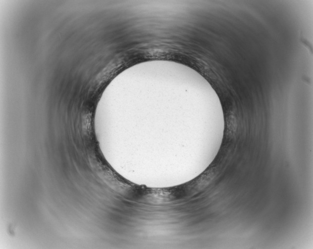 X0000100190278200806271626