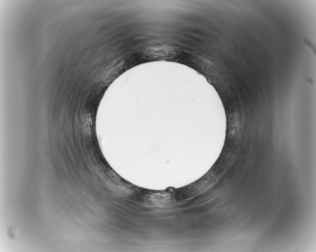 X0000100190279200806271626