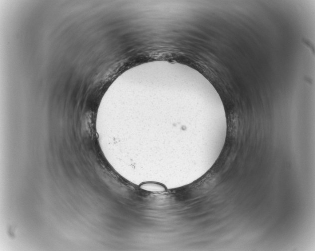 X0000100190280200806271626