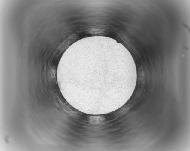 X0000100190281200806271626