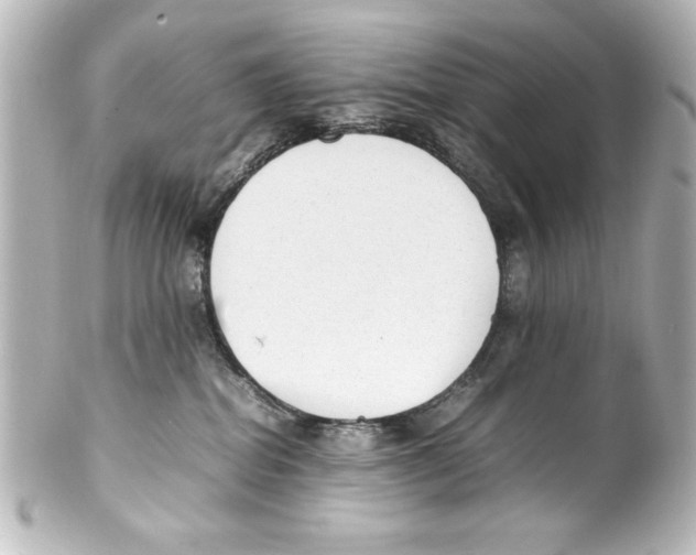 X0000100190282200806271626
