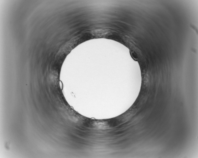 X0000100190283200806271626