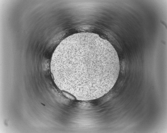 X0000100190284200806271626