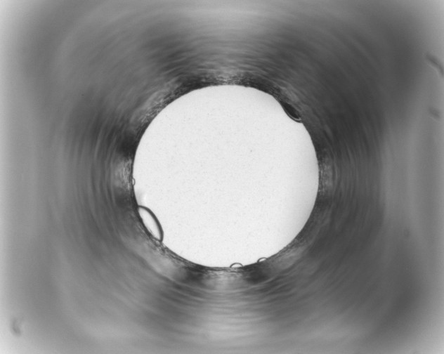 X0000100190286200806271626