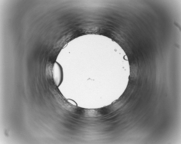 X0000100190287200806271626