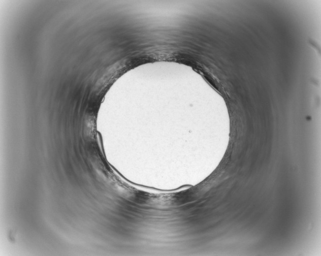X0000100190288200806271626
