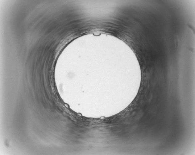 X0000100190289200806271625