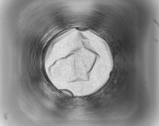 X0000100190290200806271625