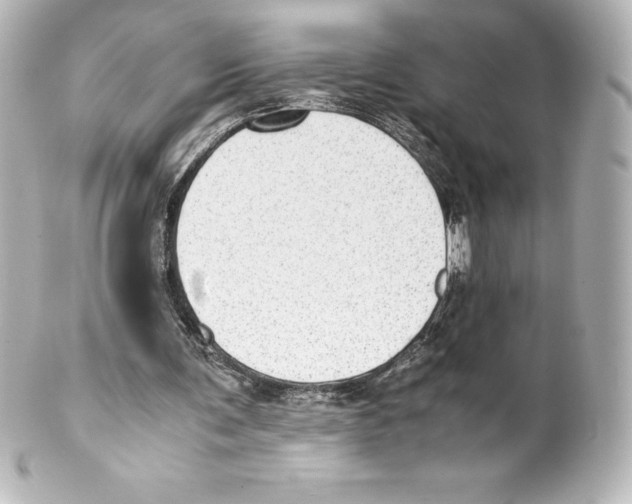 X0000100190291200806271625