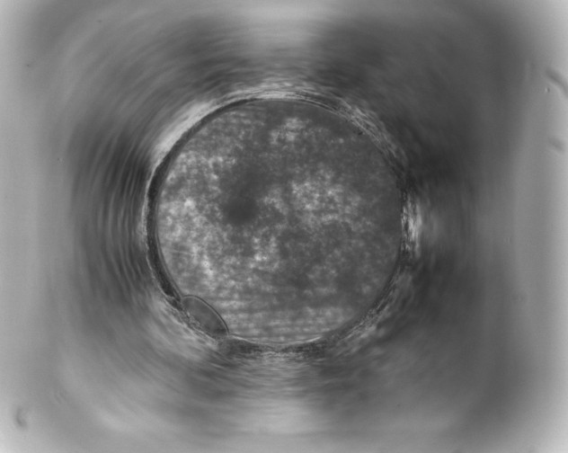 X0000100190292200806271625