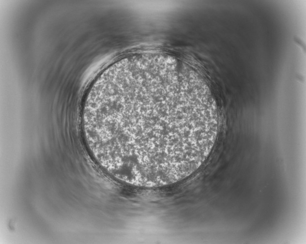 X0000100190293200806271625