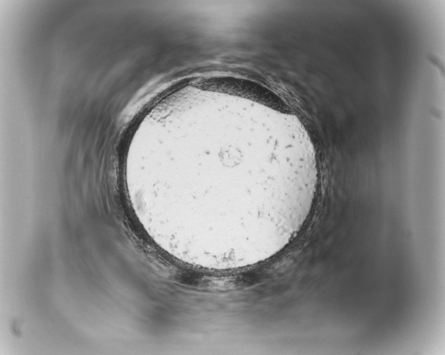 X0000100190295200806271625