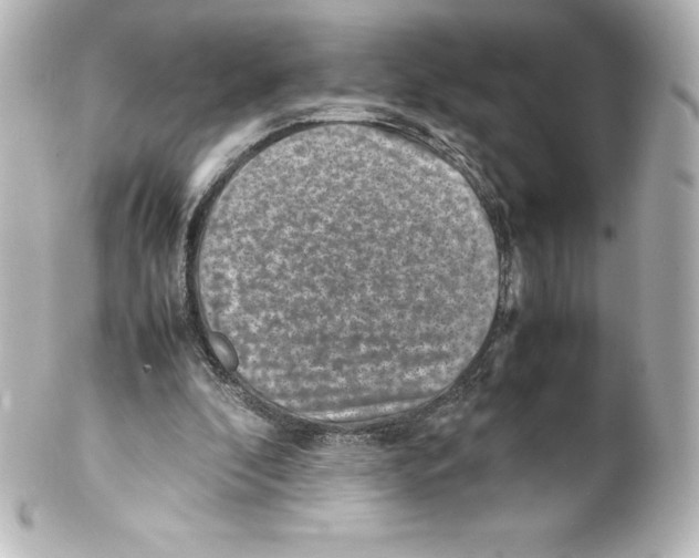 X0000100190296200806271625