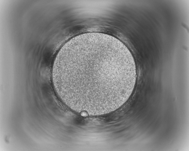 X0000100190297200806271625