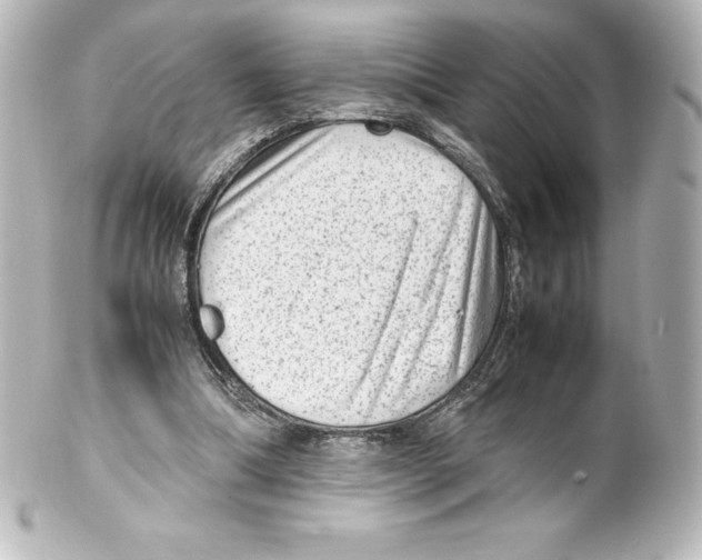 X0000100190298200806271625