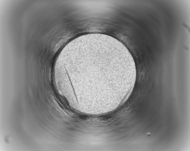 X0000100190299200806271625