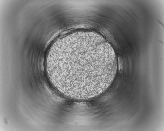X0000100190300200806271625