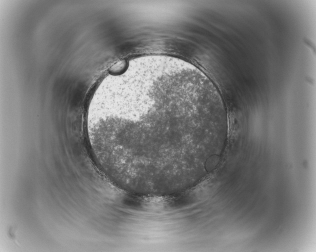 X0000100190301200806271625
