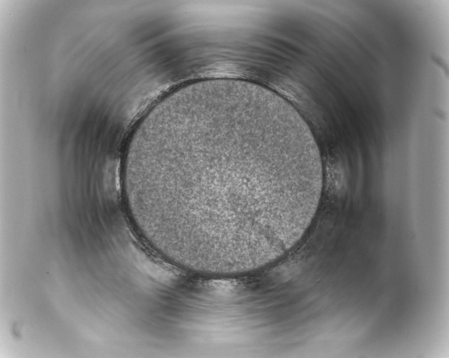 X0000100190302200806271625