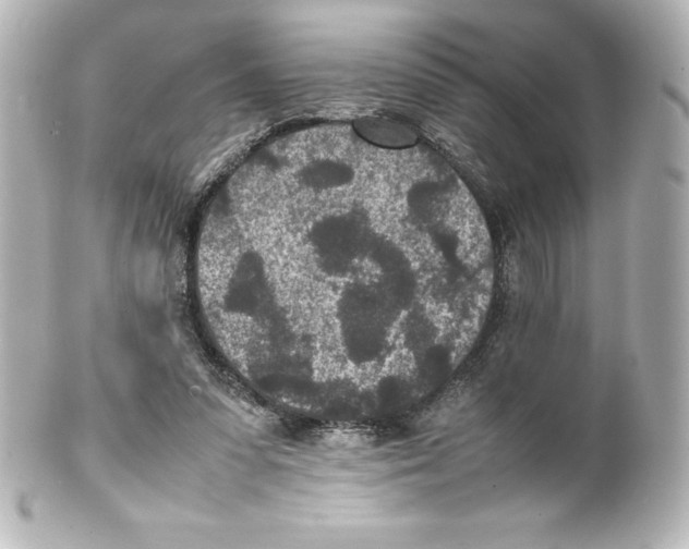 X0000100190303200806271625