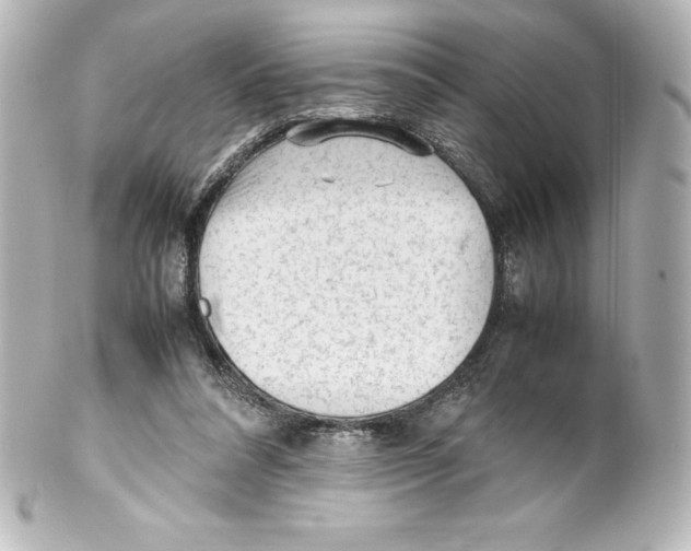 X0000100190304200806271625