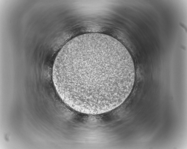 X0000100190305200806271625