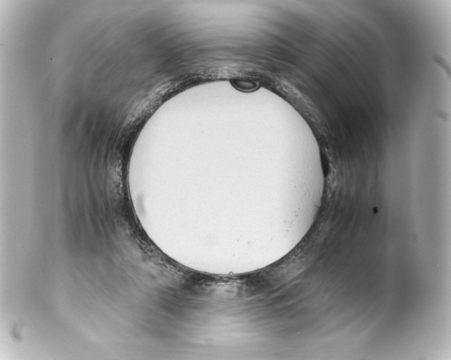 X0000100190306200806271625
