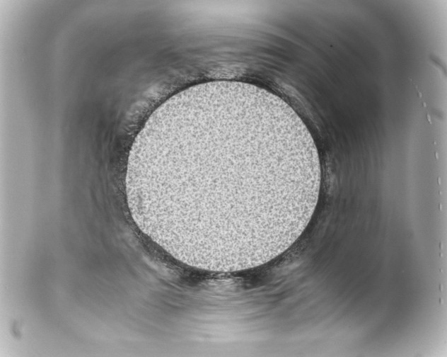 X0000100190307200806271625