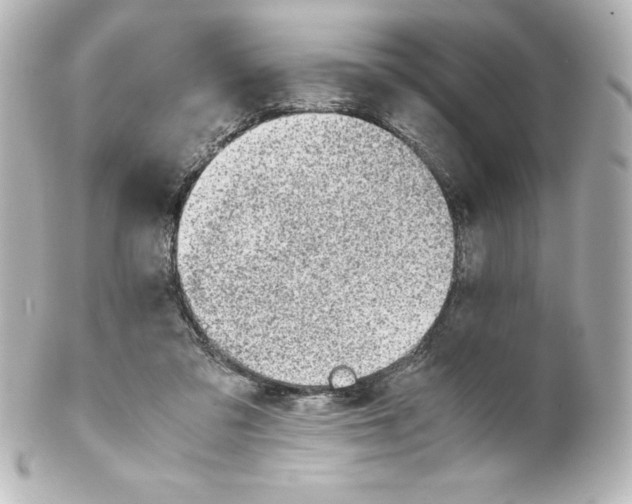 X0000100190309200806271625