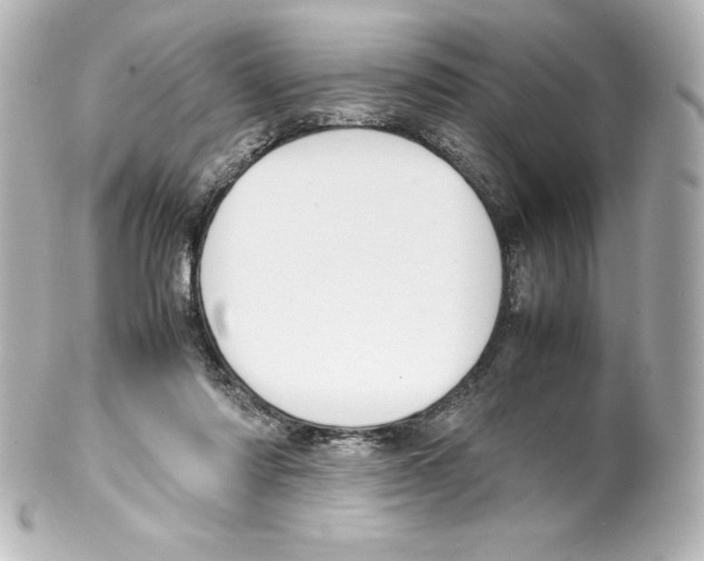 X0000100190310200806271625
