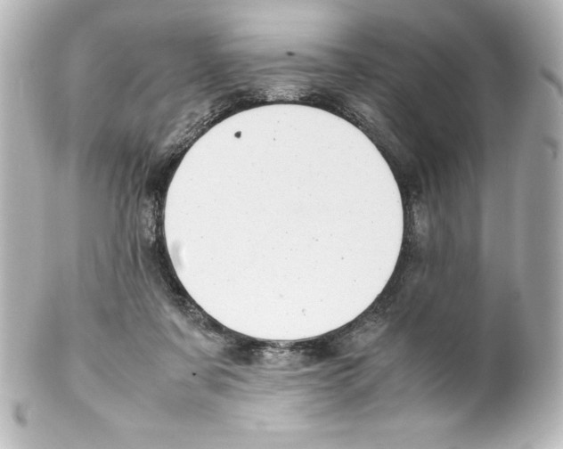 X0000100190311200806271625