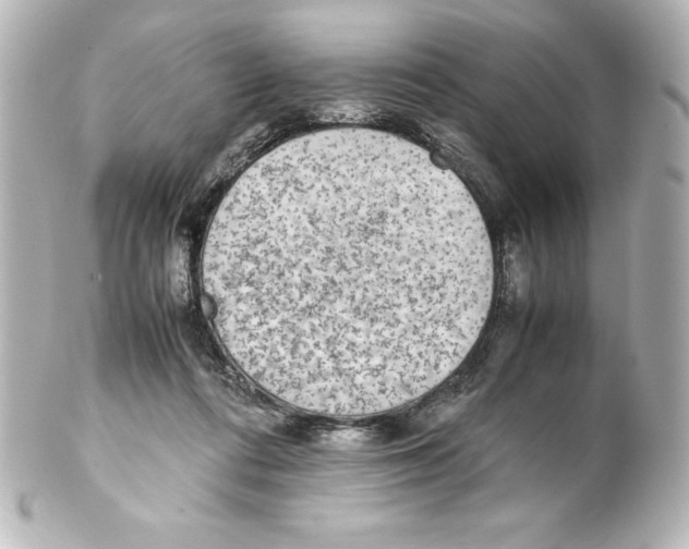 X0000100190312200806271625