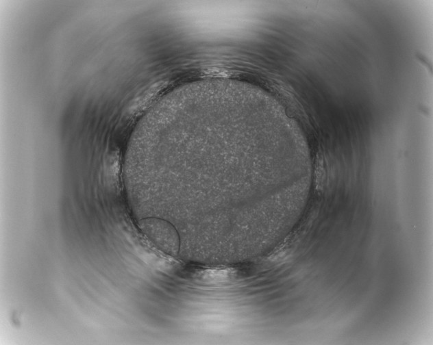 X0000100190314200806271625