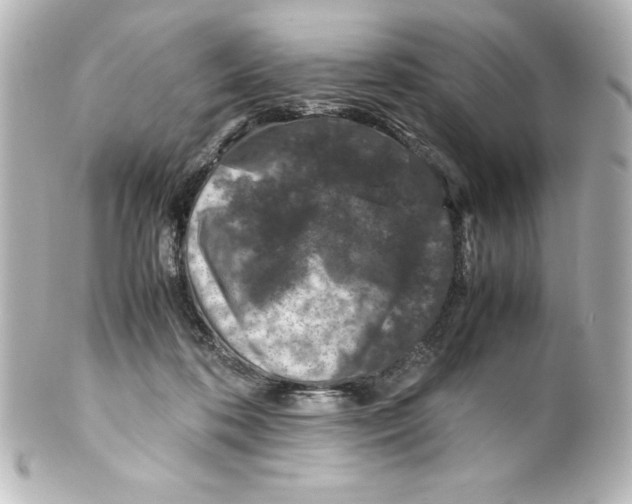X0000100190316200806271625