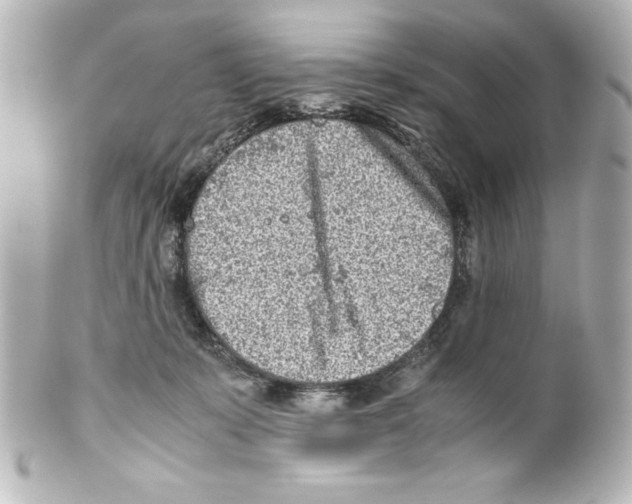 X0000100190319200806271625