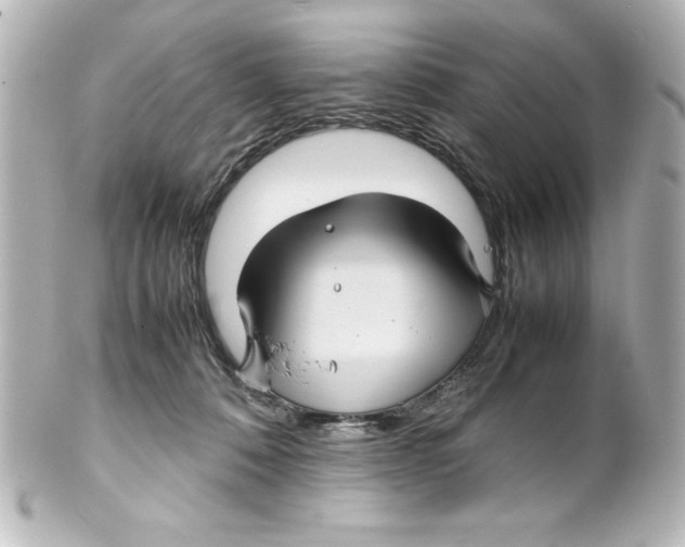 X0000100190320200806271625