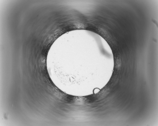 X0000100190321200806271625