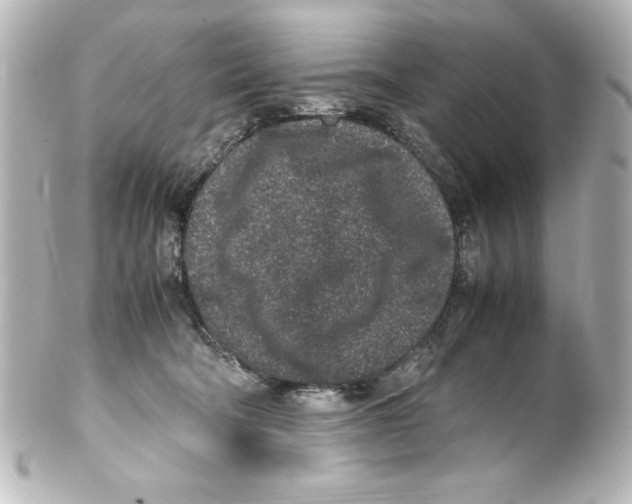 X0000100190322200806271625