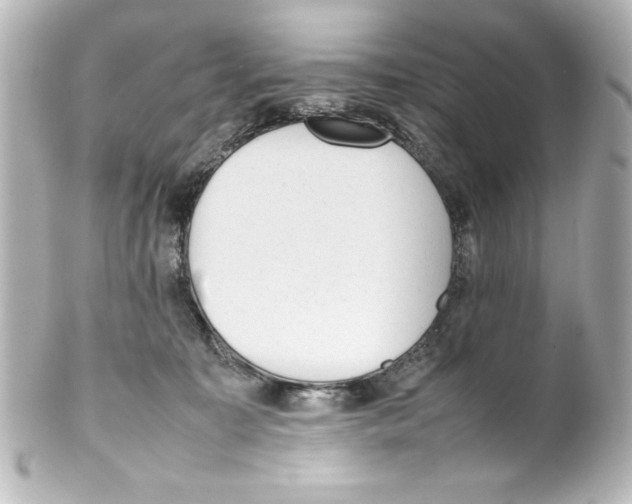 X0000100190323200806271624